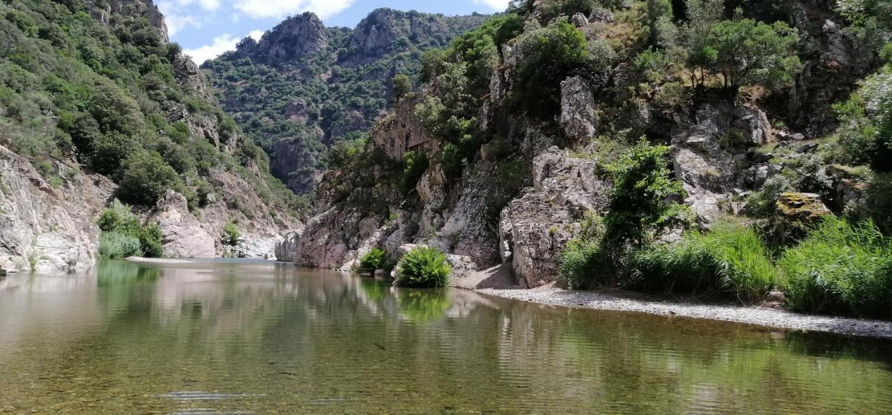 S'Orrosa Casa Vacanze Bifamiliare In Montagna Panorama Stupendo Sardegna Seulo Ngoại thất bức ảnh
