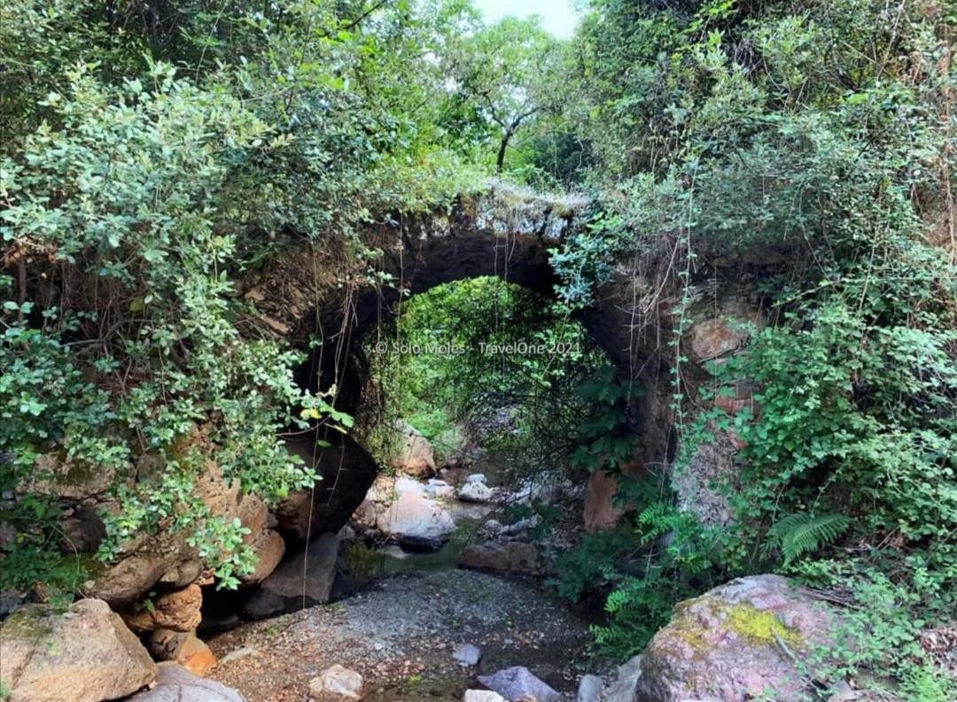 S'Orrosa Casa Vacanze Bifamiliare In Montagna Panorama Stupendo Sardegna Seulo Ngoại thất bức ảnh