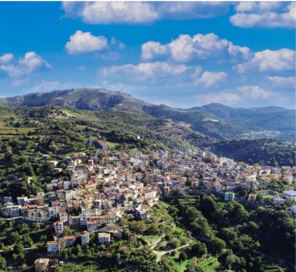 S'Orrosa Casa Vacanze Bifamiliare In Montagna Panorama Stupendo Sardegna Seulo Ngoại thất bức ảnh