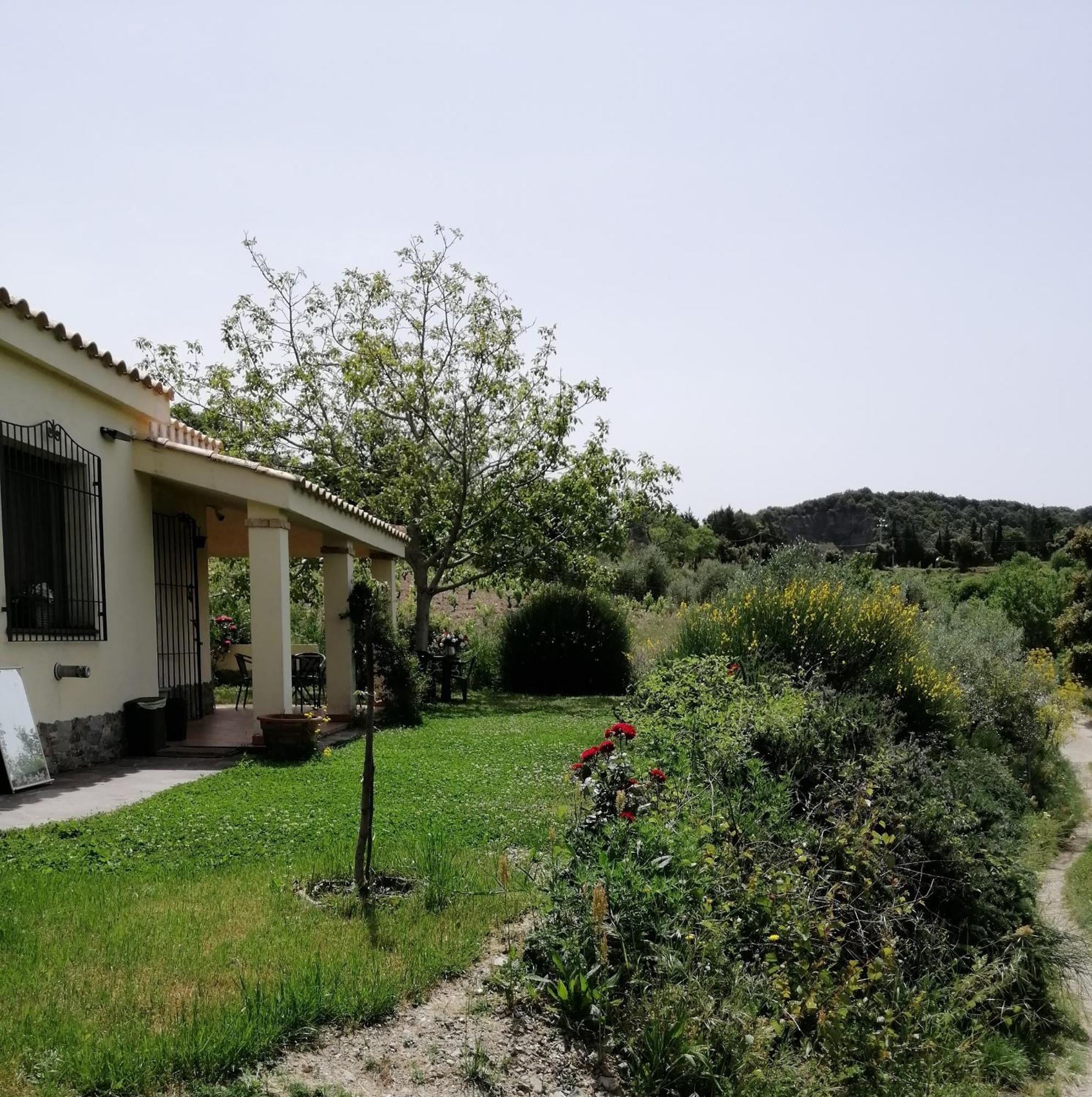 S'Orrosa Casa Vacanze Bifamiliare In Montagna Panorama Stupendo Sardegna Seulo Ngoại thất bức ảnh