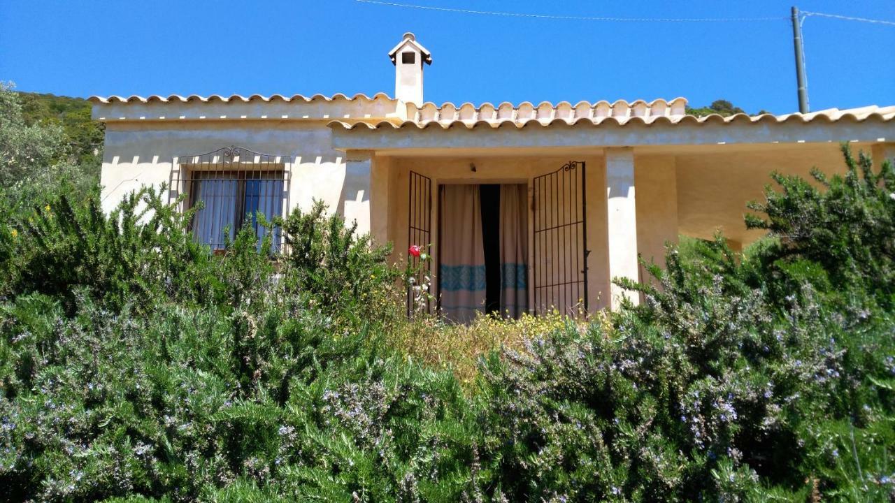 S'Orrosa Casa Vacanze Bifamiliare In Montagna Panorama Stupendo Sardegna Seulo Ngoại thất bức ảnh