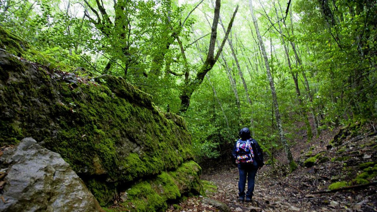 S'Orrosa Casa Vacanze Bifamiliare In Montagna Panorama Stupendo Sardegna Seulo Ngoại thất bức ảnh