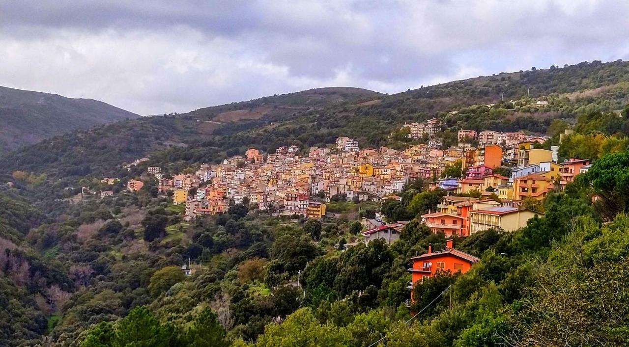 S'Orrosa Casa Vacanze Bifamiliare In Montagna Panorama Stupendo Sardegna Seulo Ngoại thất bức ảnh