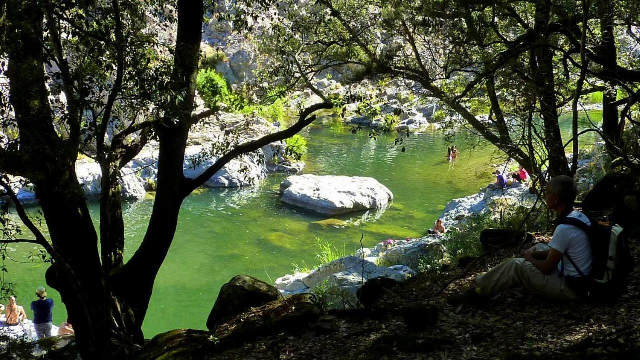 S'Orrosa Casa Vacanze Bifamiliare In Montagna Panorama Stupendo Sardegna Seulo Ngoại thất bức ảnh