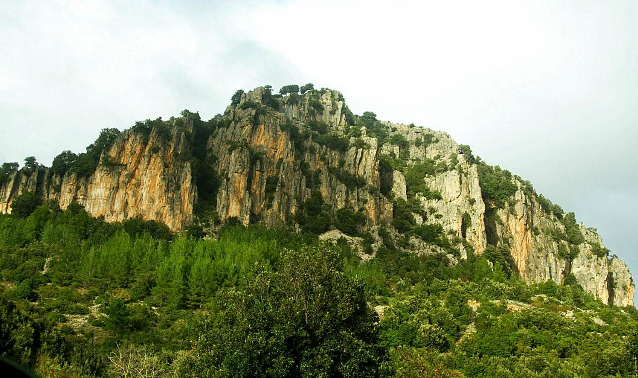 S'Orrosa Casa Vacanze Bifamiliare In Montagna Panorama Stupendo Sardegna Seulo Ngoại thất bức ảnh