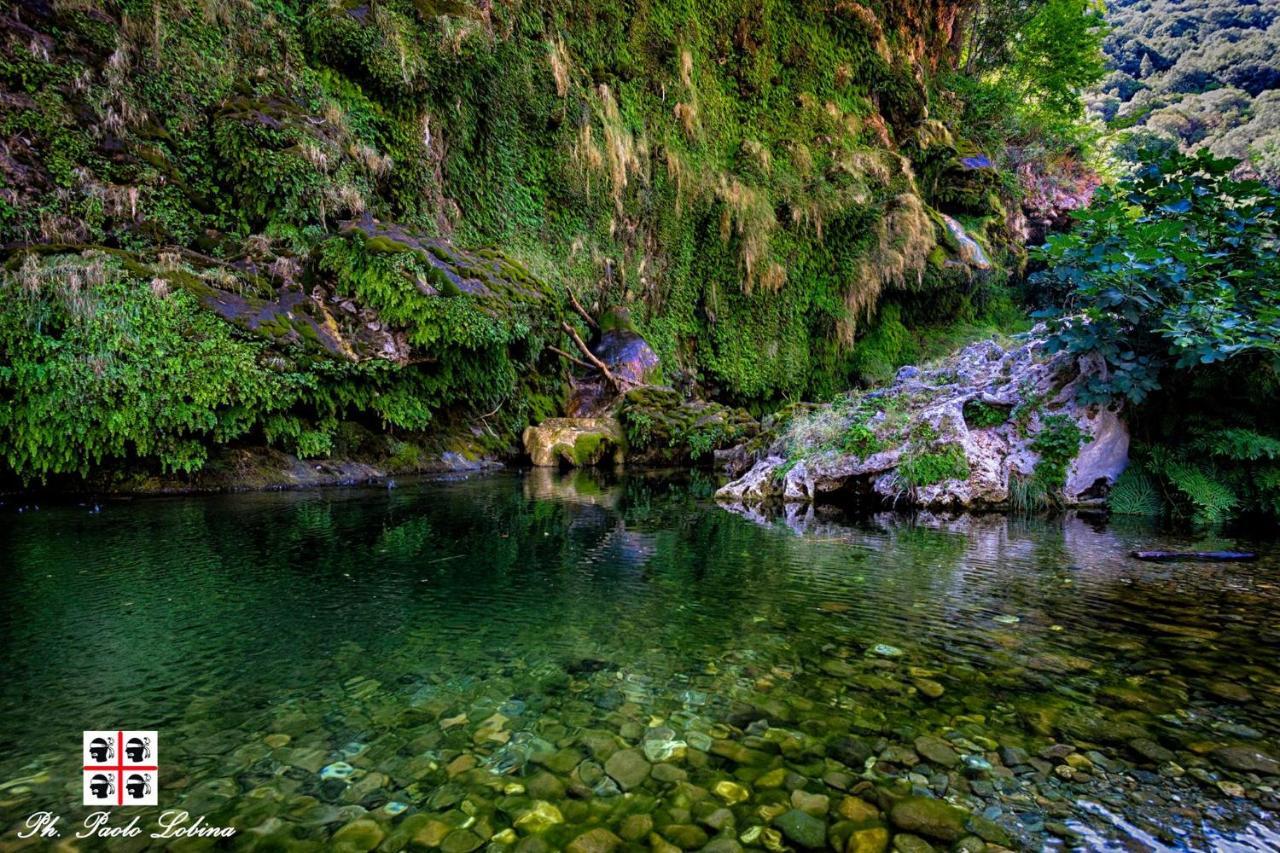 S'Orrosa Casa Vacanze Bifamiliare In Montagna Panorama Stupendo Sardegna Seulo Ngoại thất bức ảnh